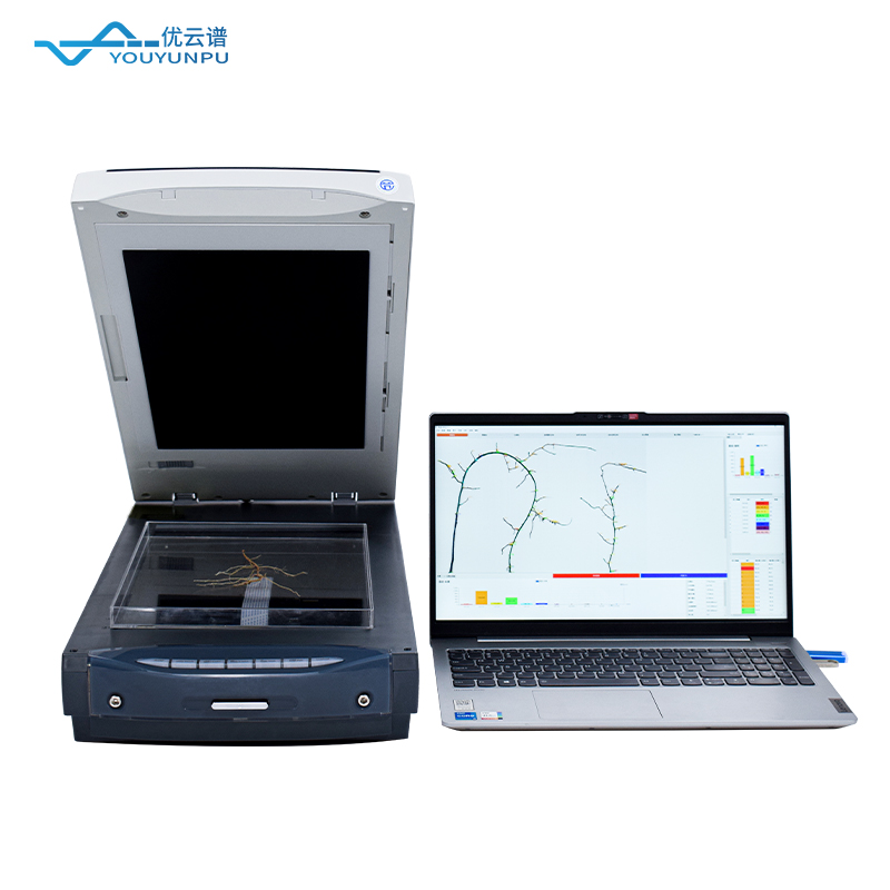 從根部看成長：根系分析儀在作物管理中的重要作用